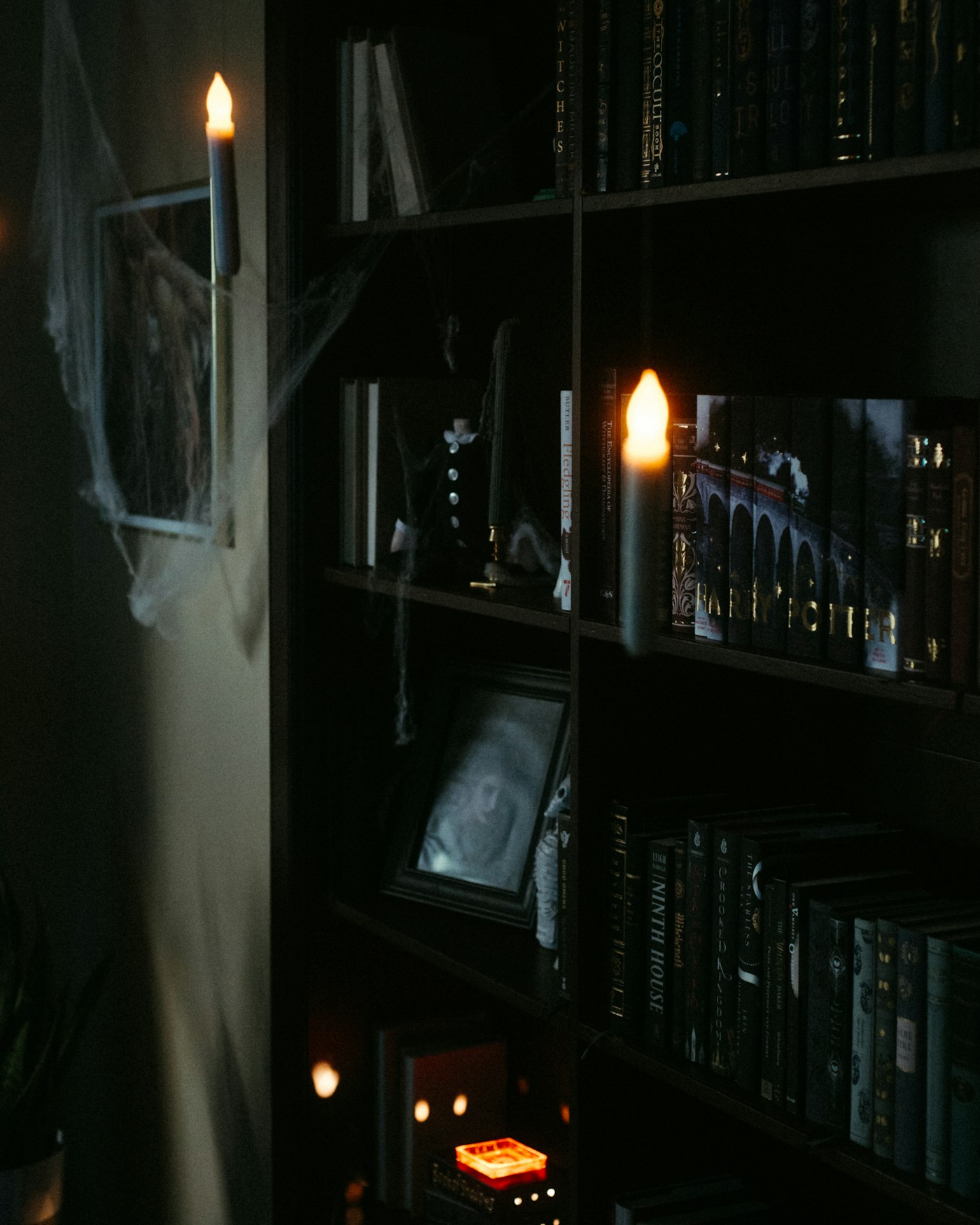 Private study and library